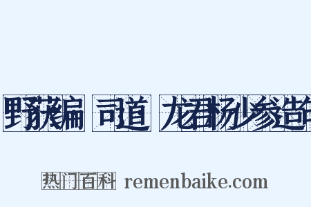 野获编·司道·龙君杨少参造句是什么意思的图片